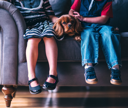 Los increíbles beneficios emocionales de los perros para los niños