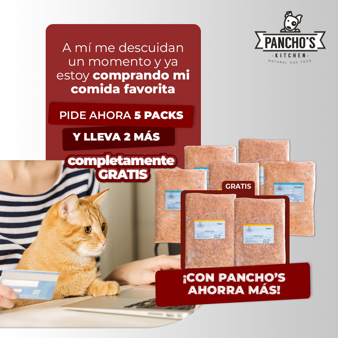 Promo Comida Para Gato: Paga 5 lleva 7