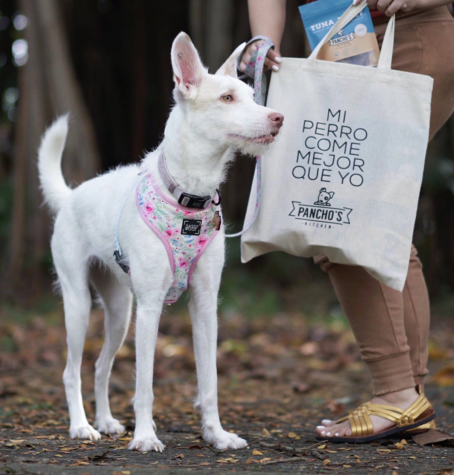 Tote Bags