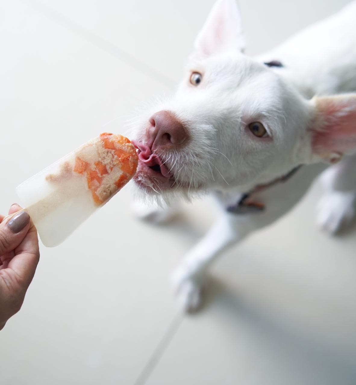 Caldo De Pechuga de Pollo