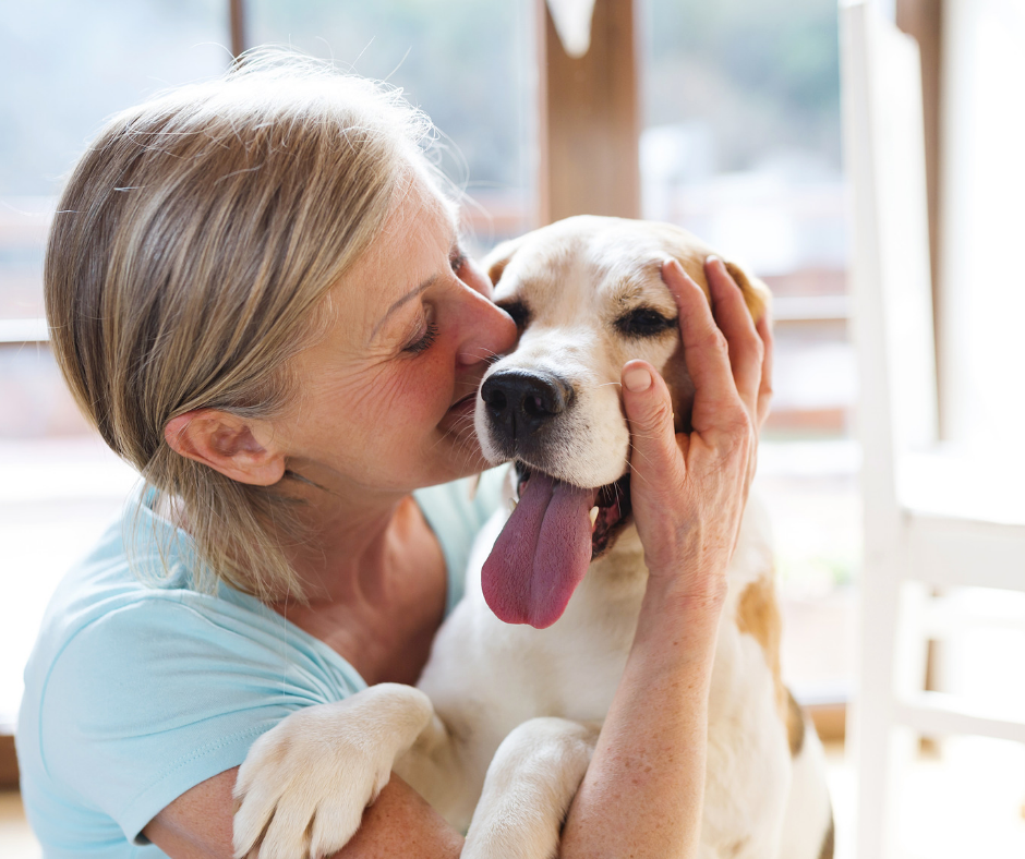 El secreto para mantener la agudeza mental de tu perro