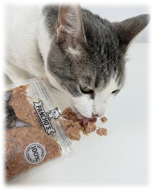 Proteína animal para gatos