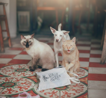 Reducir bolas de pelo en gatos.