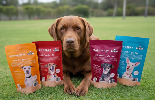 Jerkies para perros
