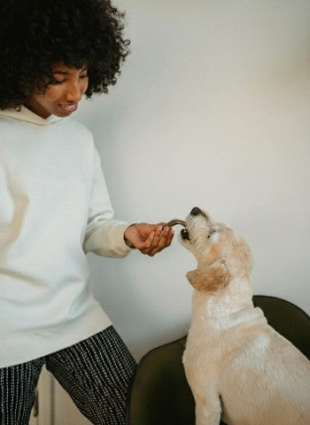 Premios naturales vs procesados para perros: cuál elegir para una alimentación saludable