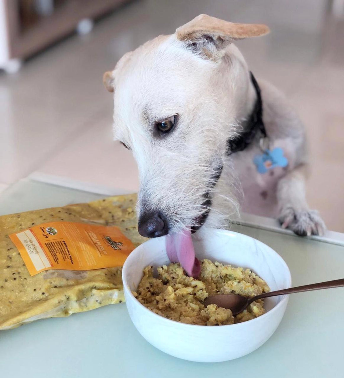 ¿Sabes si un nutricionista formuló la comida de tu mascota?