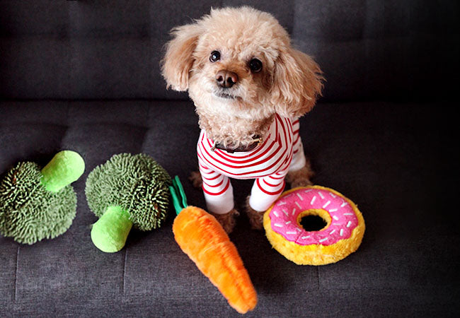 Comida para cachorros