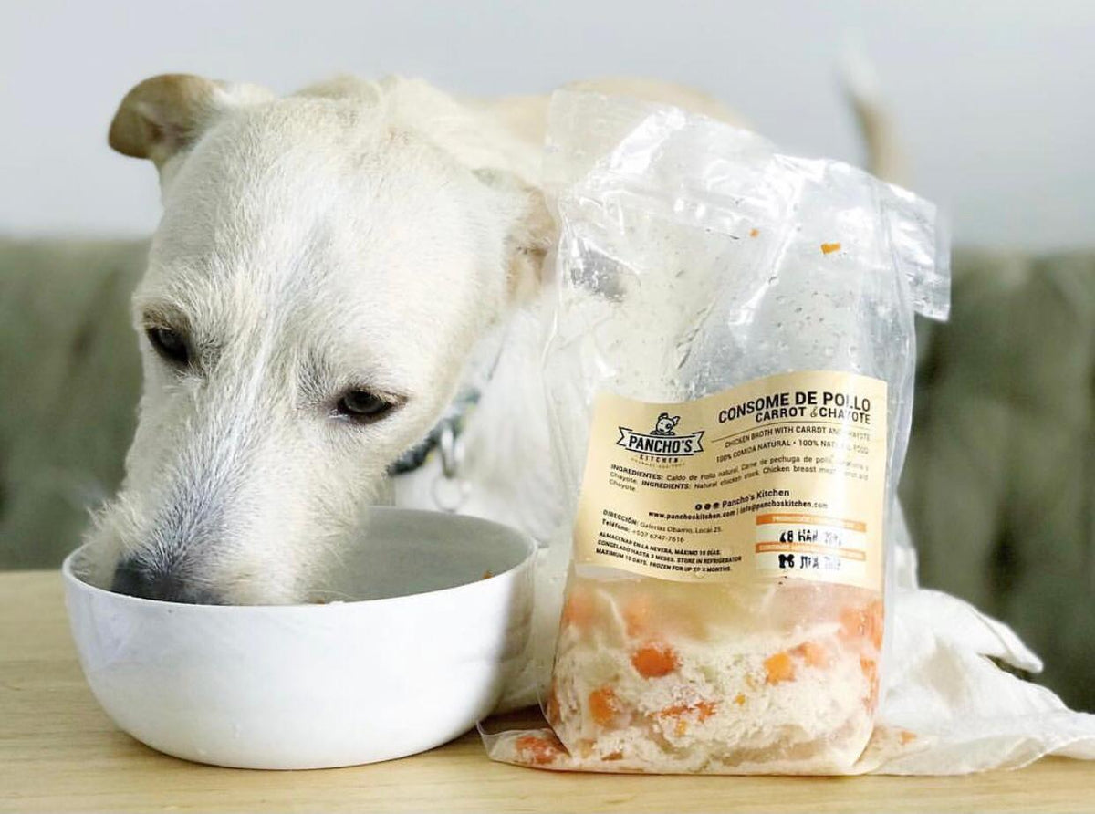 Comida natural para mascotas: la mejor y más fresca alternativa