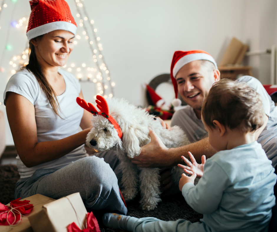 Todo lo que debes saber antes de dar una mascota como regalo de Navidad