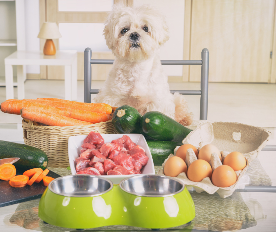 ¡La comida para mascotas no tiene porqué ser aburrida!