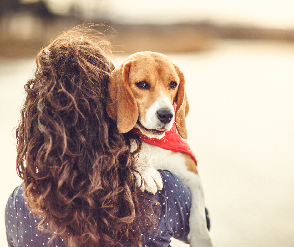 10 ideas para demostrar amor a tu mascota