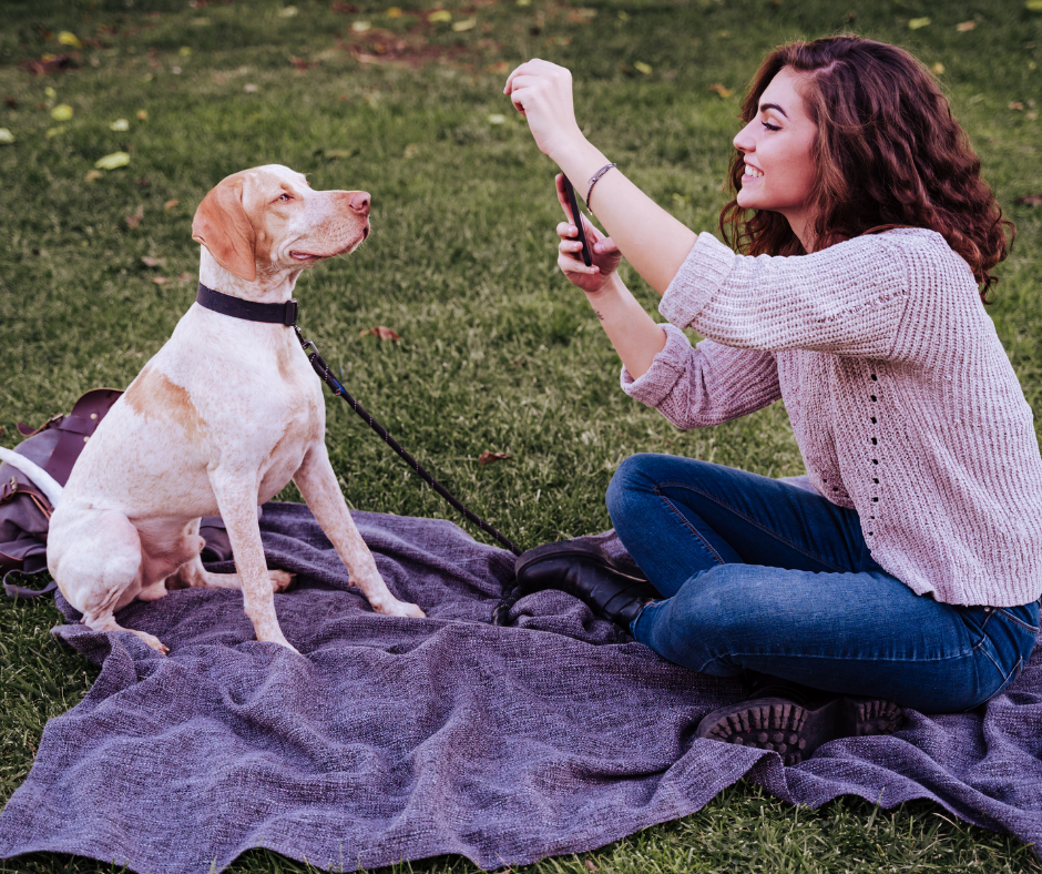 6 consejos para tomarle fotos a tu mascota