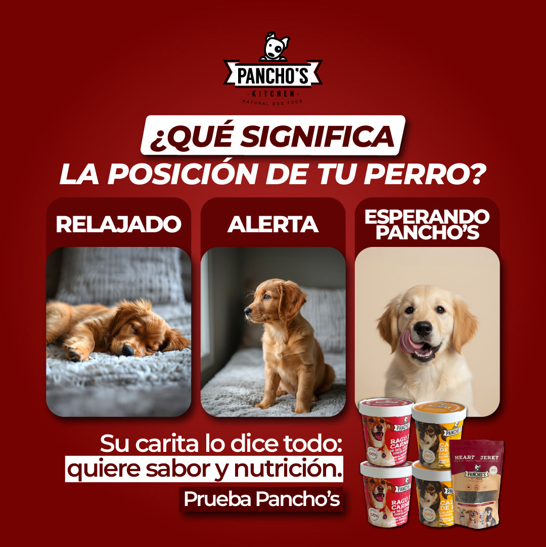 PACK- Banquete Panchos