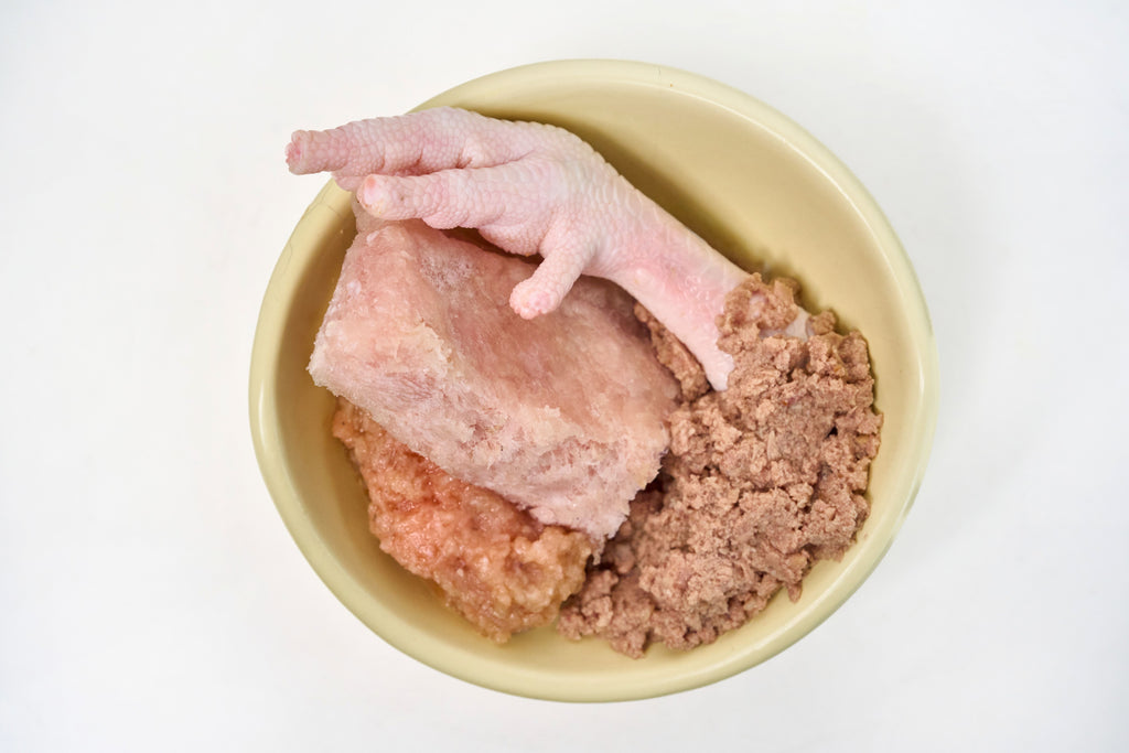 Comida Para Gato de Pescado