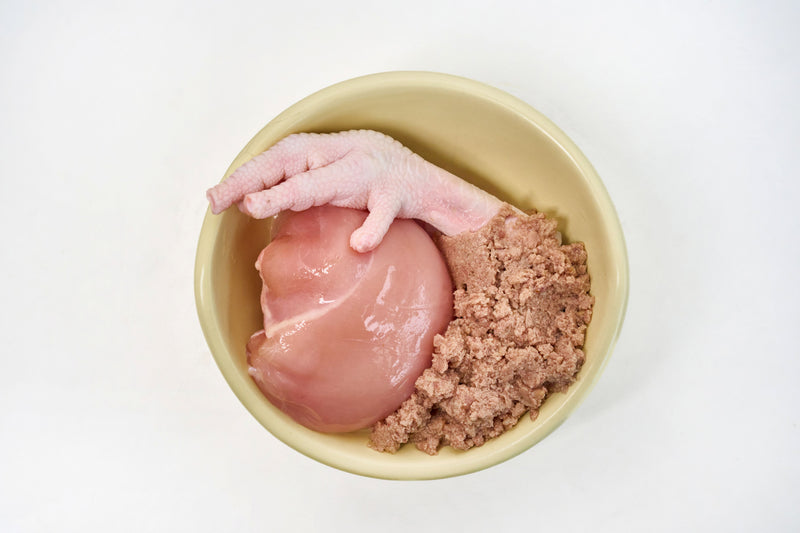 Comida Para Gato de Pollo