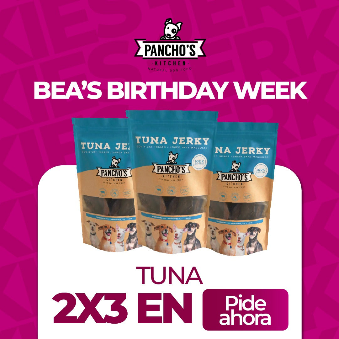 2x3 Tuna Jerky