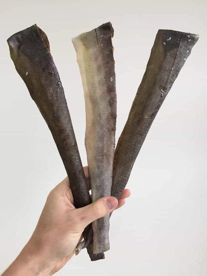 Cobia Chew