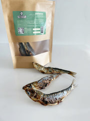 Sardinitas
