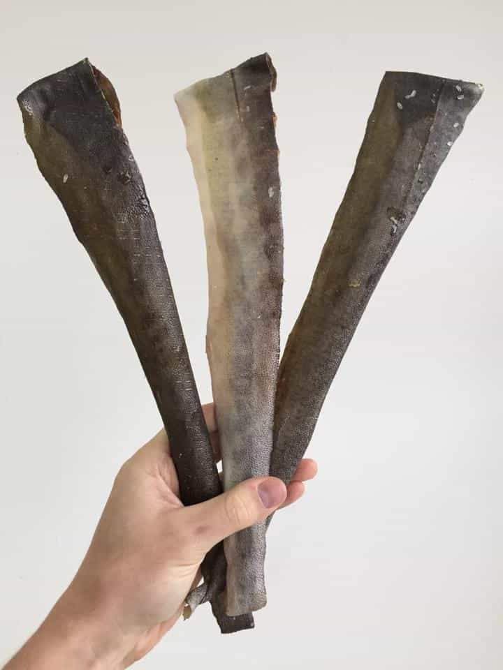 Cobia Chew